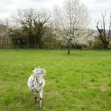 Daire Albrecht Guest Kembs