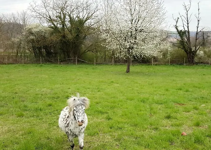 Appartement Albrecht Guest Kembs